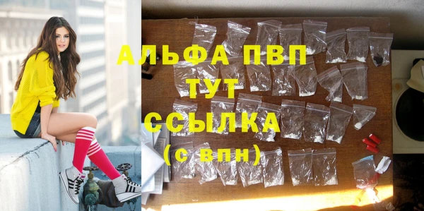 шишки Волоколамск