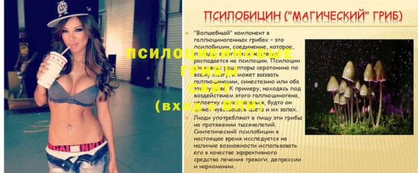 стафф Верхний Тагил