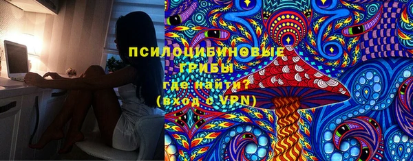 шишки Волоколамск
