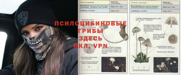 стафф Верхний Тагил