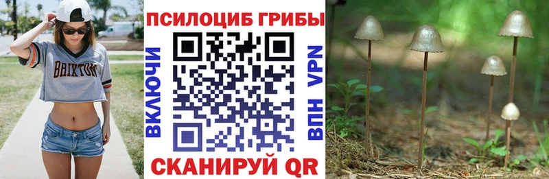 Галлюциногенные грибы прущие грибы  Улан-Удэ 